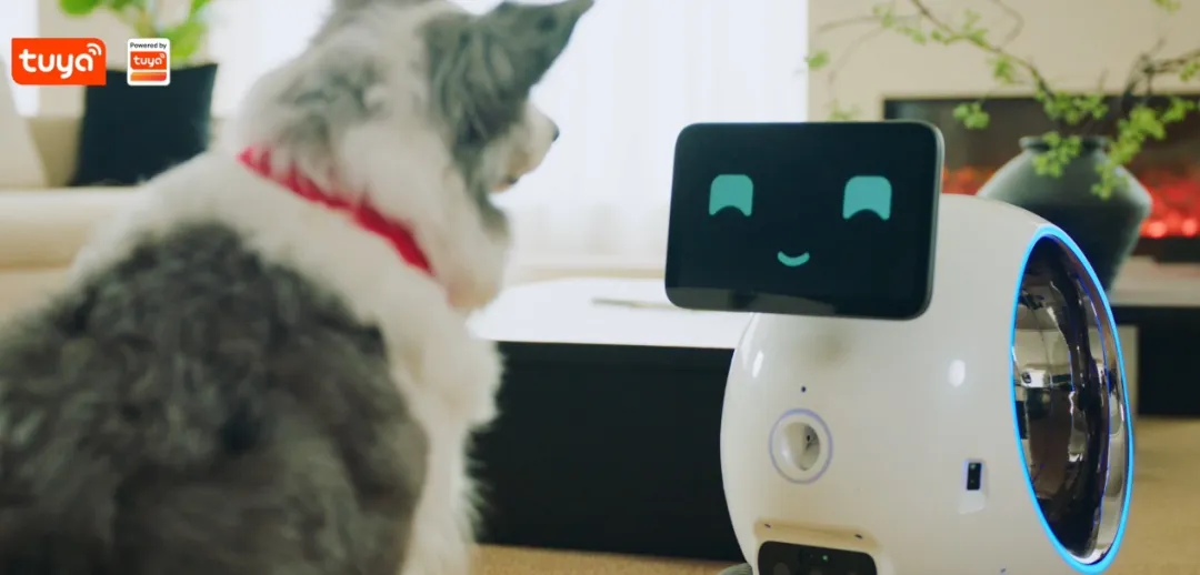 实用化浪潮开启！消费级机器人从“能动”到“能用”，智能底层决定体验上限 